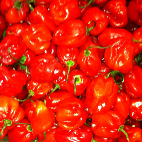 Mad Hatter Extra Hot Sauce